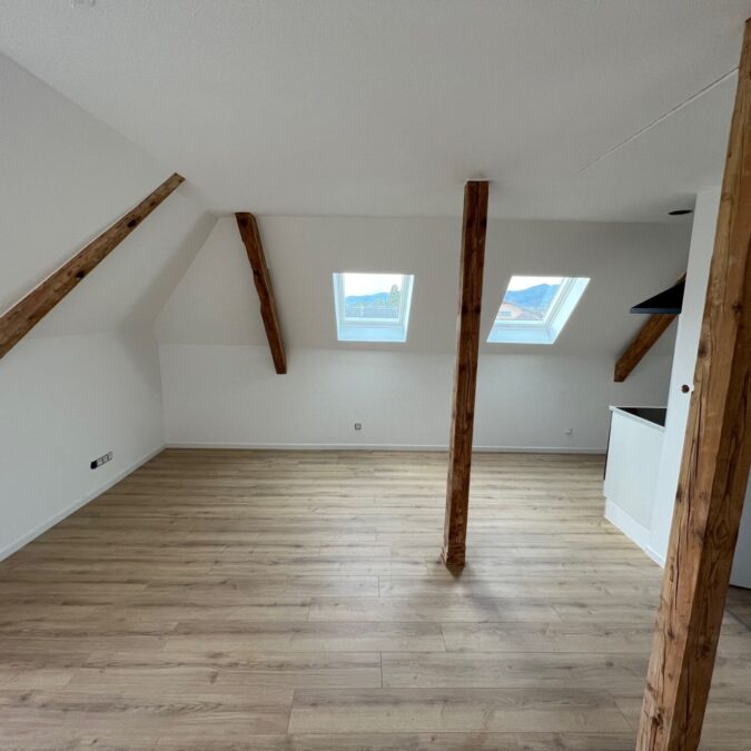 Projet clé en main : Réhabilitation d&#8217;immeuble. Illzach 10