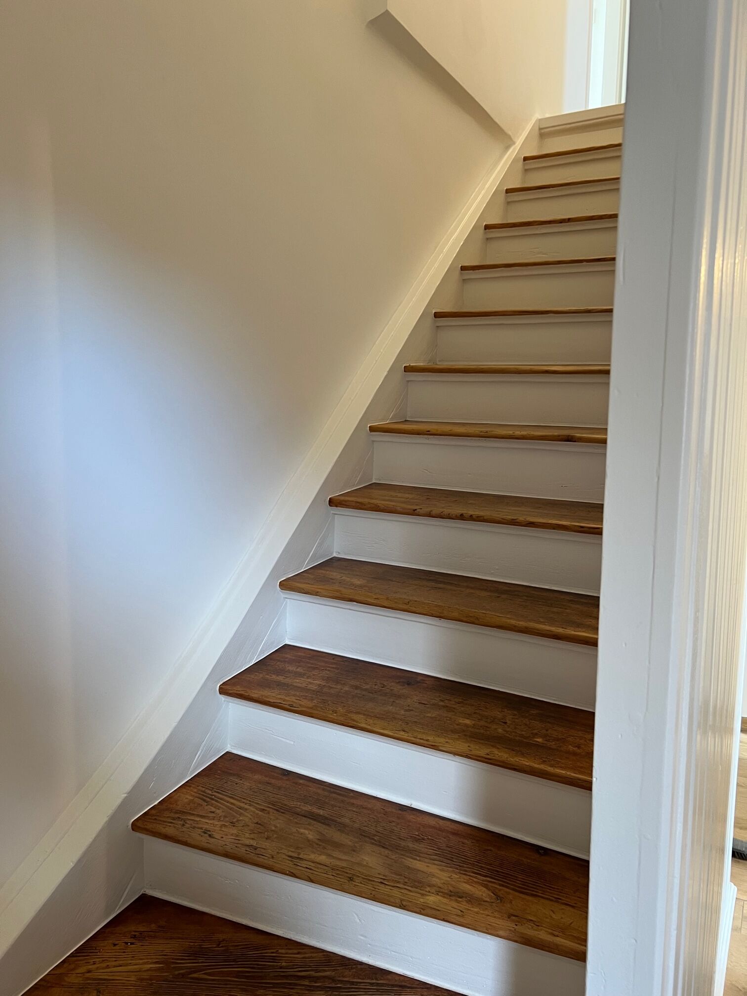 IMG_4563 | Alpro Conception de menuiseries extérieures et intérieures près de Saint-Louis et Colmar Kingersheim 1