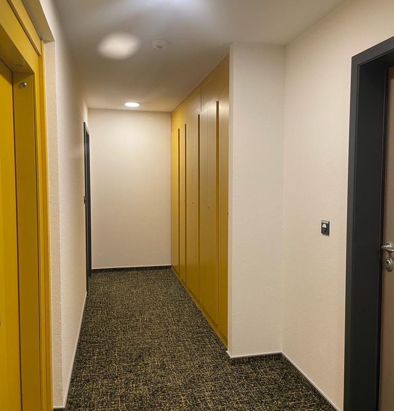 Peinture intérieure Belfort 13