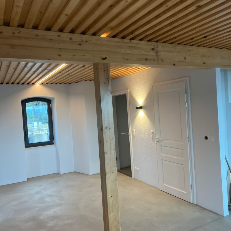 Rénovation / Plâtrerie / isolation Saint-Louis 5